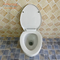Ceramic Washdown One Piece Toilet Wc Bowl Flush FSSIMA